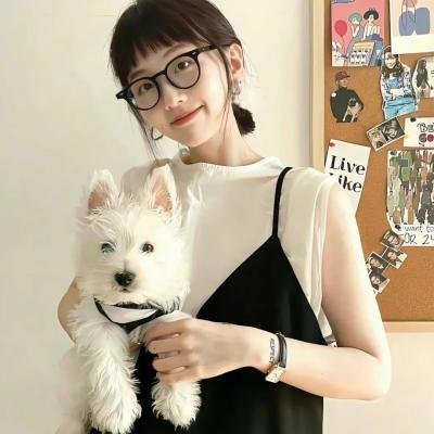 魔偶奇谭6 海报